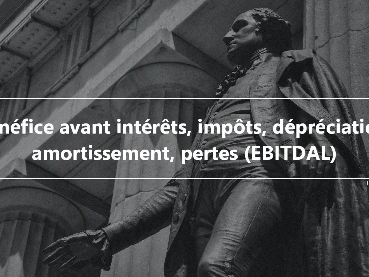 Bénéfice avant intérêts, impôts, dépréciation, amortissement, pertes (EBITDAL)