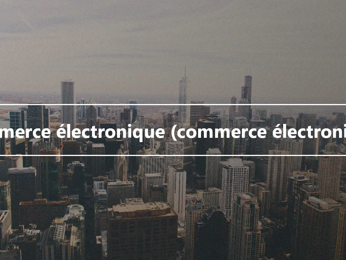 Commerce électronique (commerce électronique)