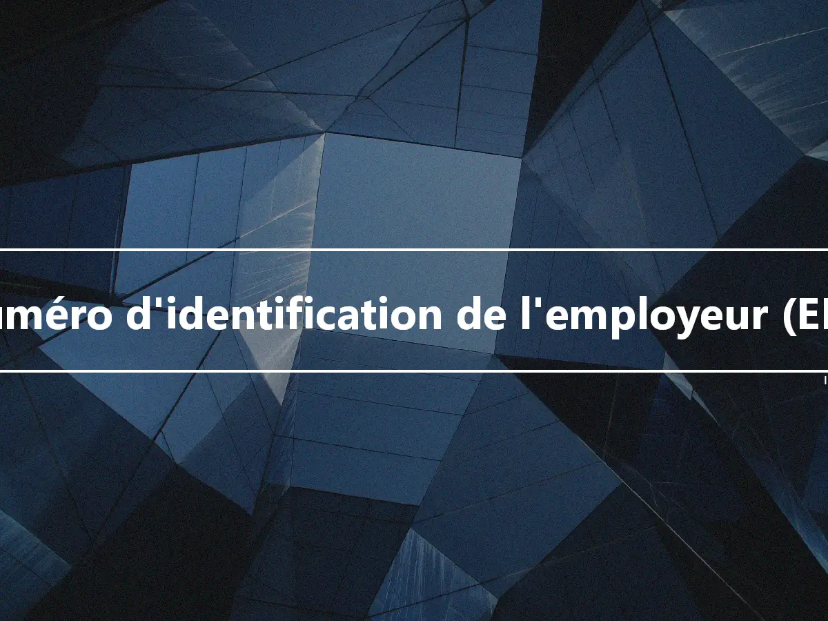 Numéro d'identification de l'employeur (EIN)