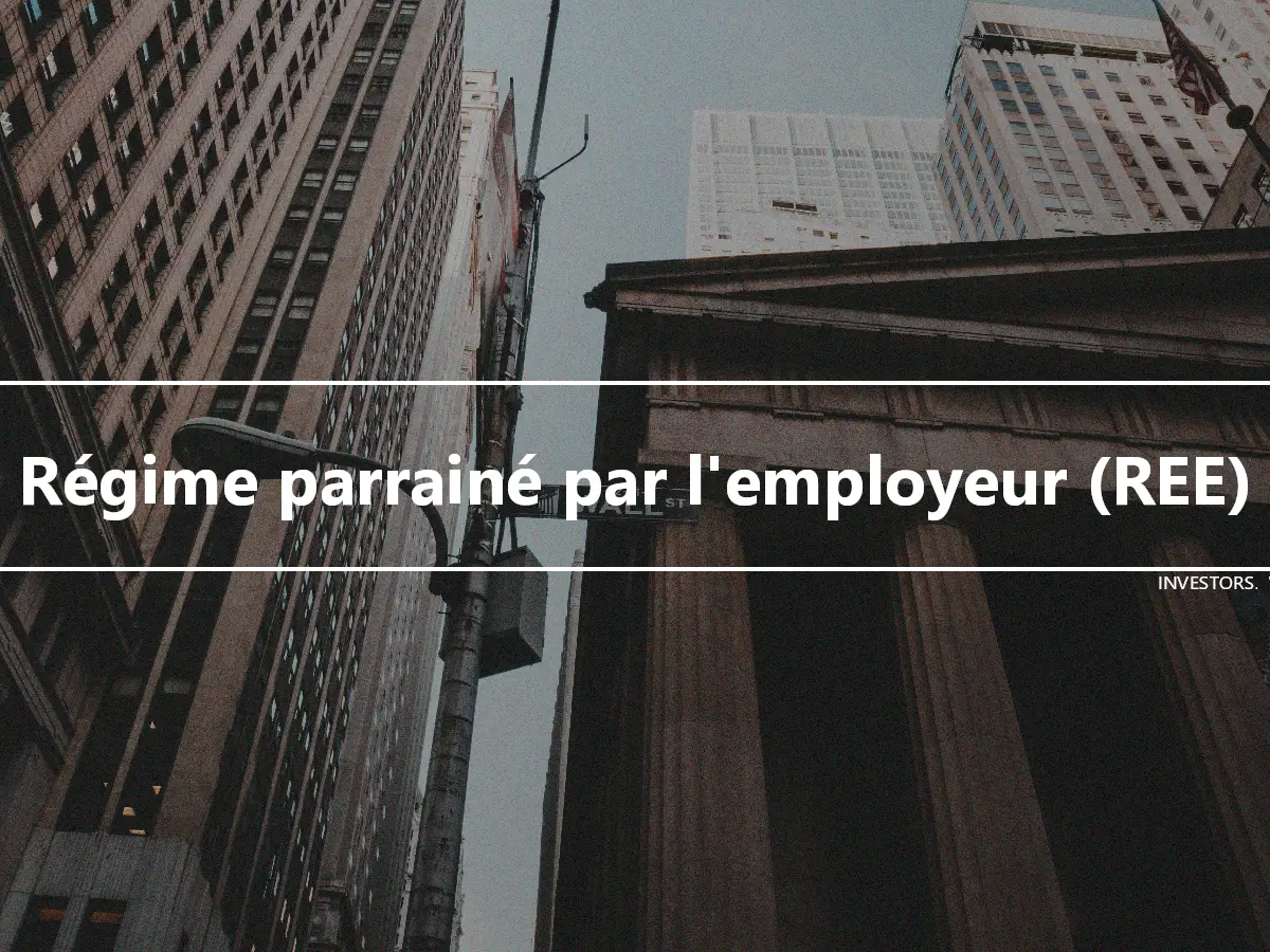 Régime parrainé par l'employeur (REE)