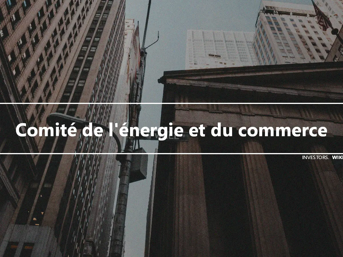 Comité de l'énergie et du commerce