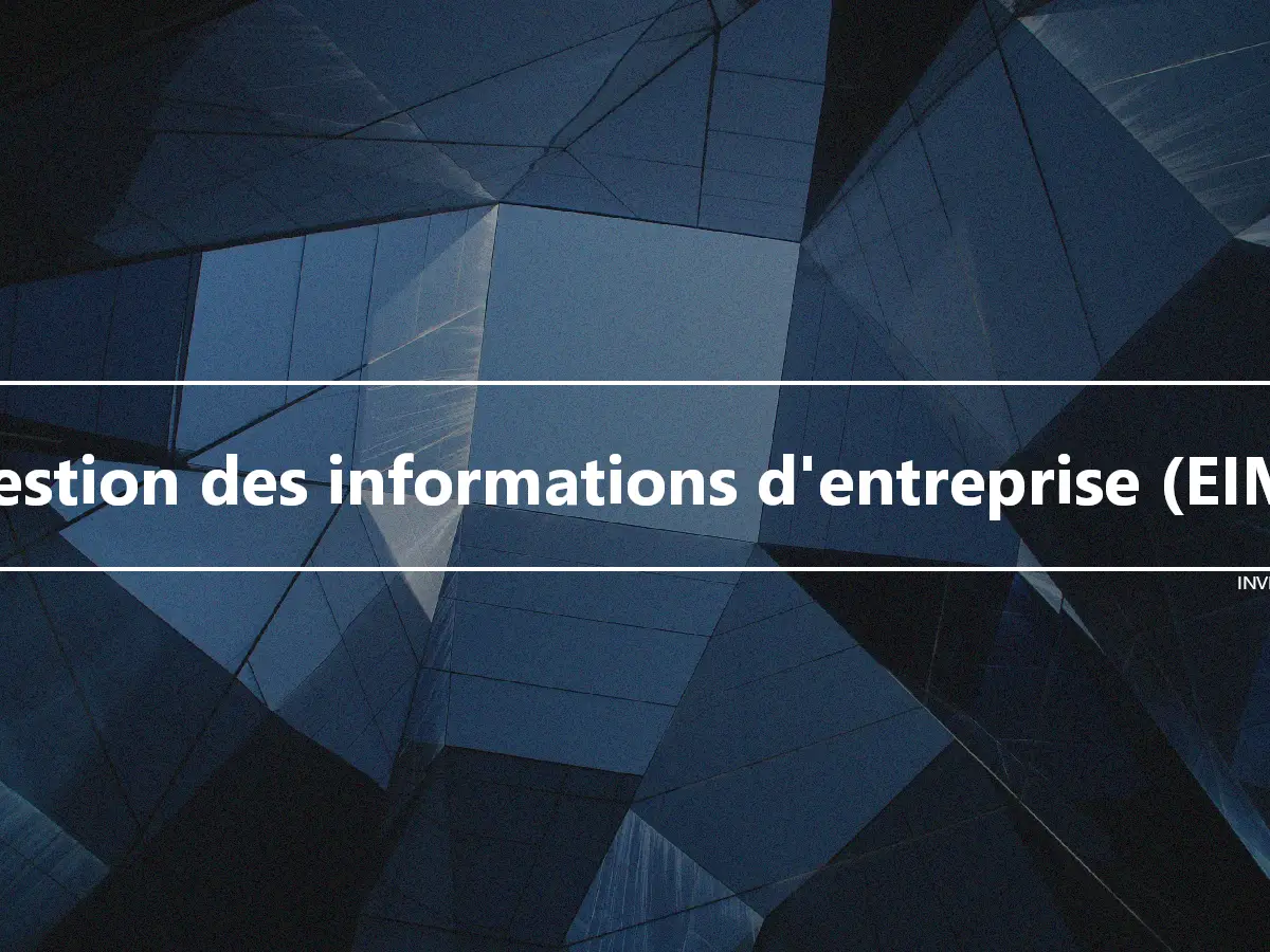 Gestion des informations d'entreprise (EIM)