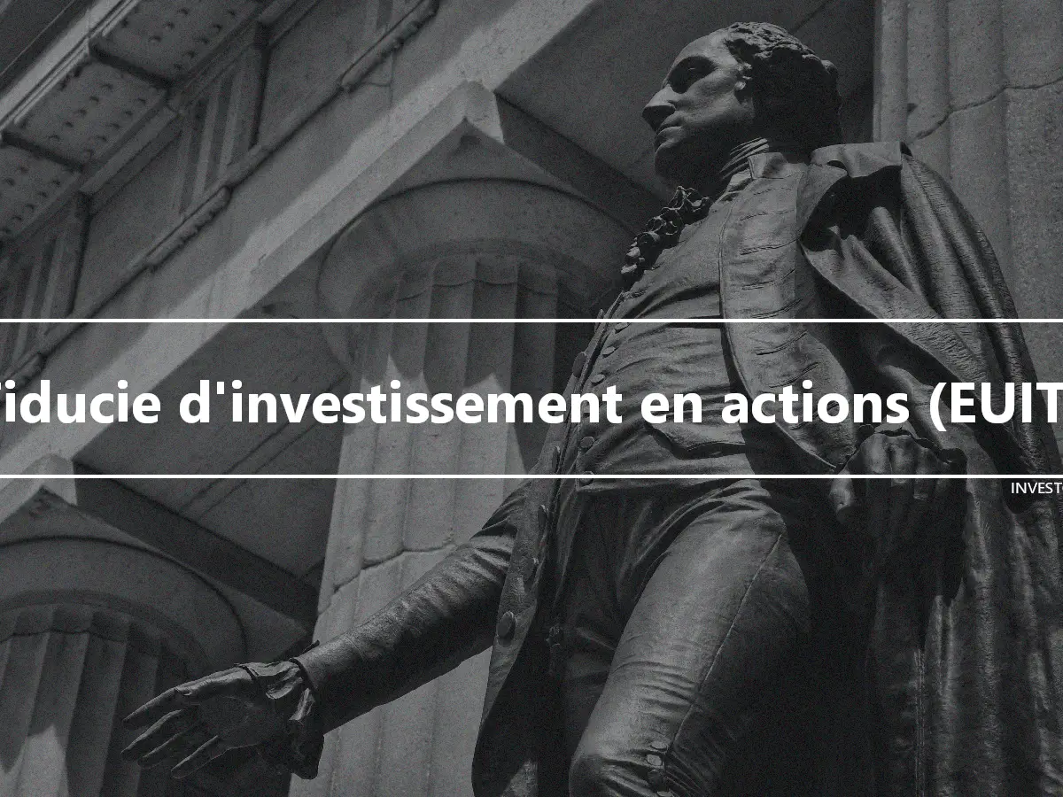 Fiducie d'investissement en actions (EUIT)