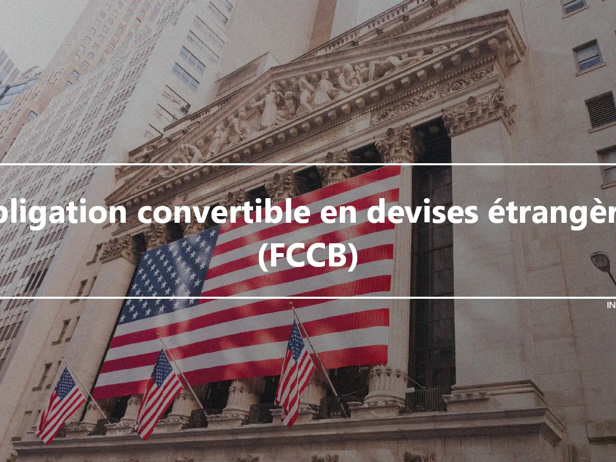 Obligation convertible en devises étrangères (FCCB)