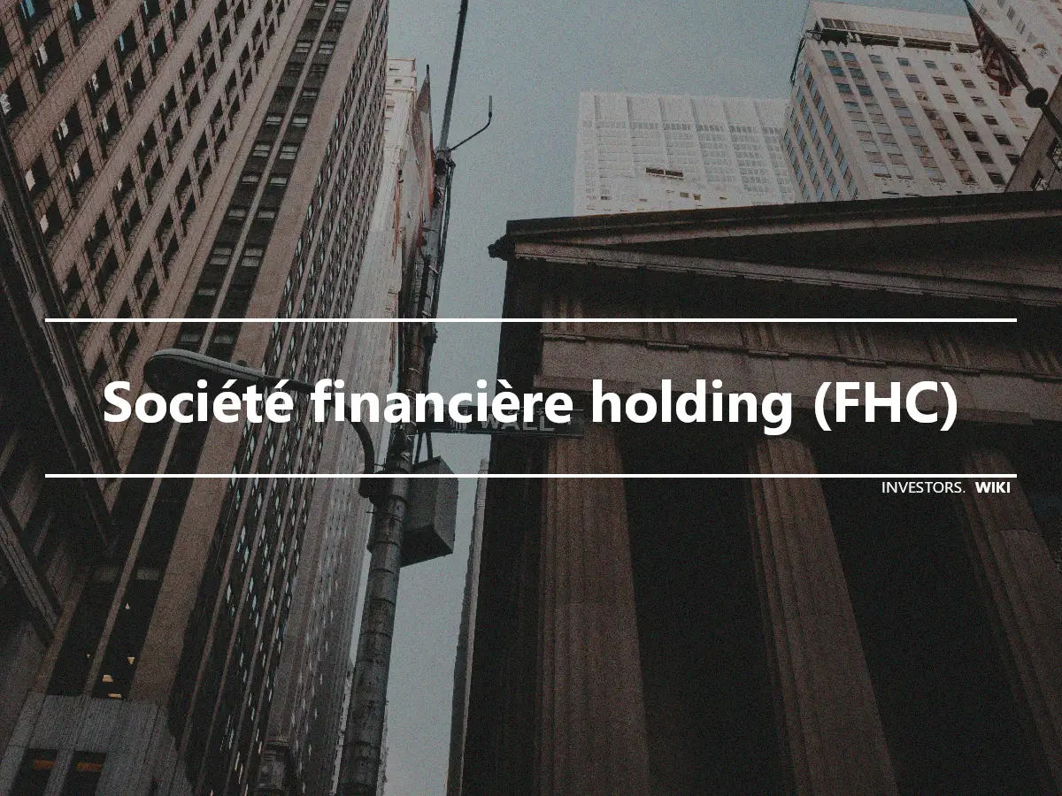 Société financière holding (FHC)