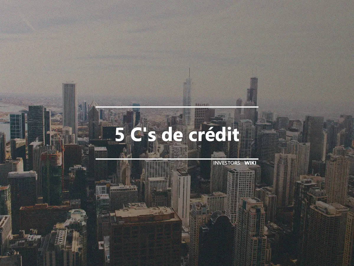 5 C's de crédit
