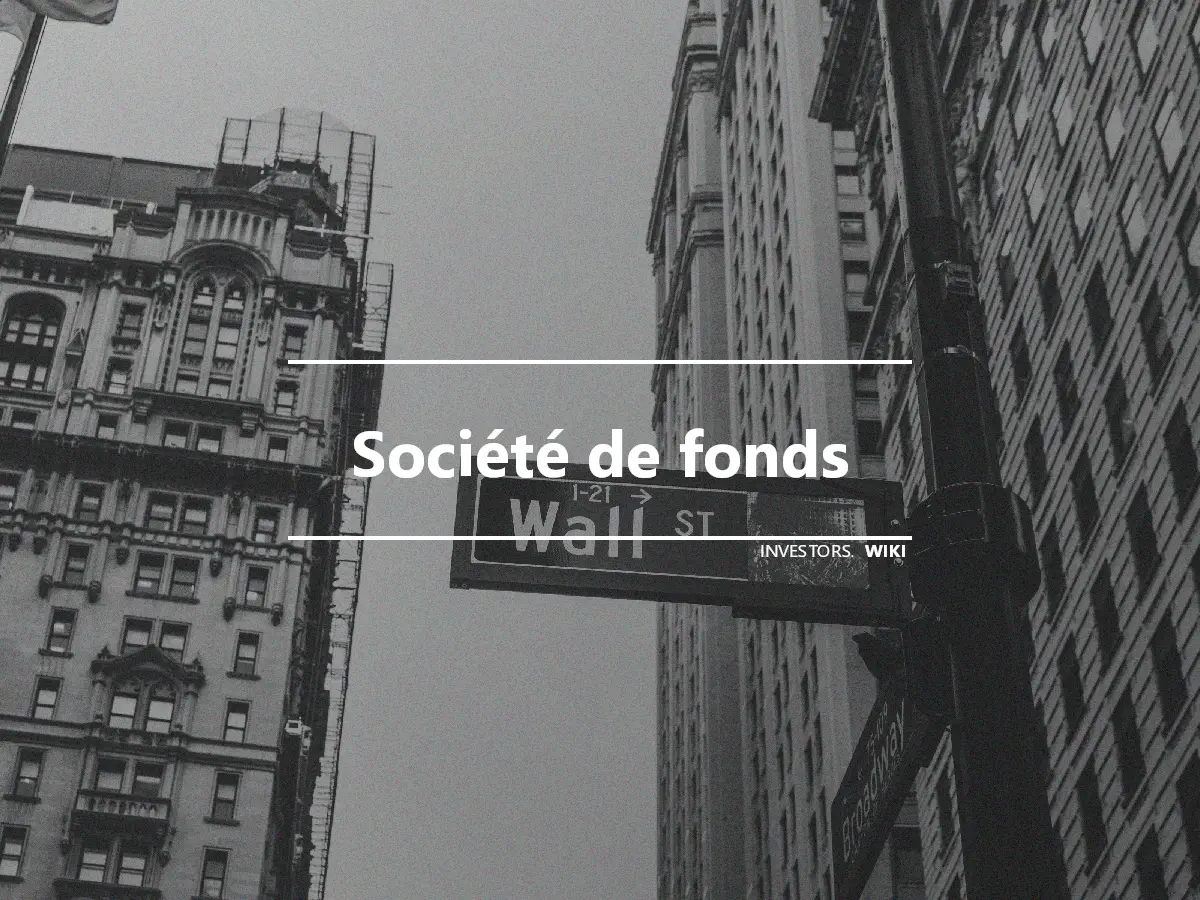 Société de fonds