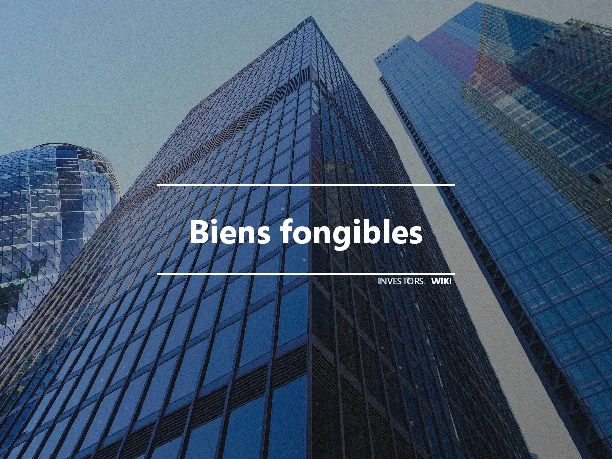 Biens fongibles