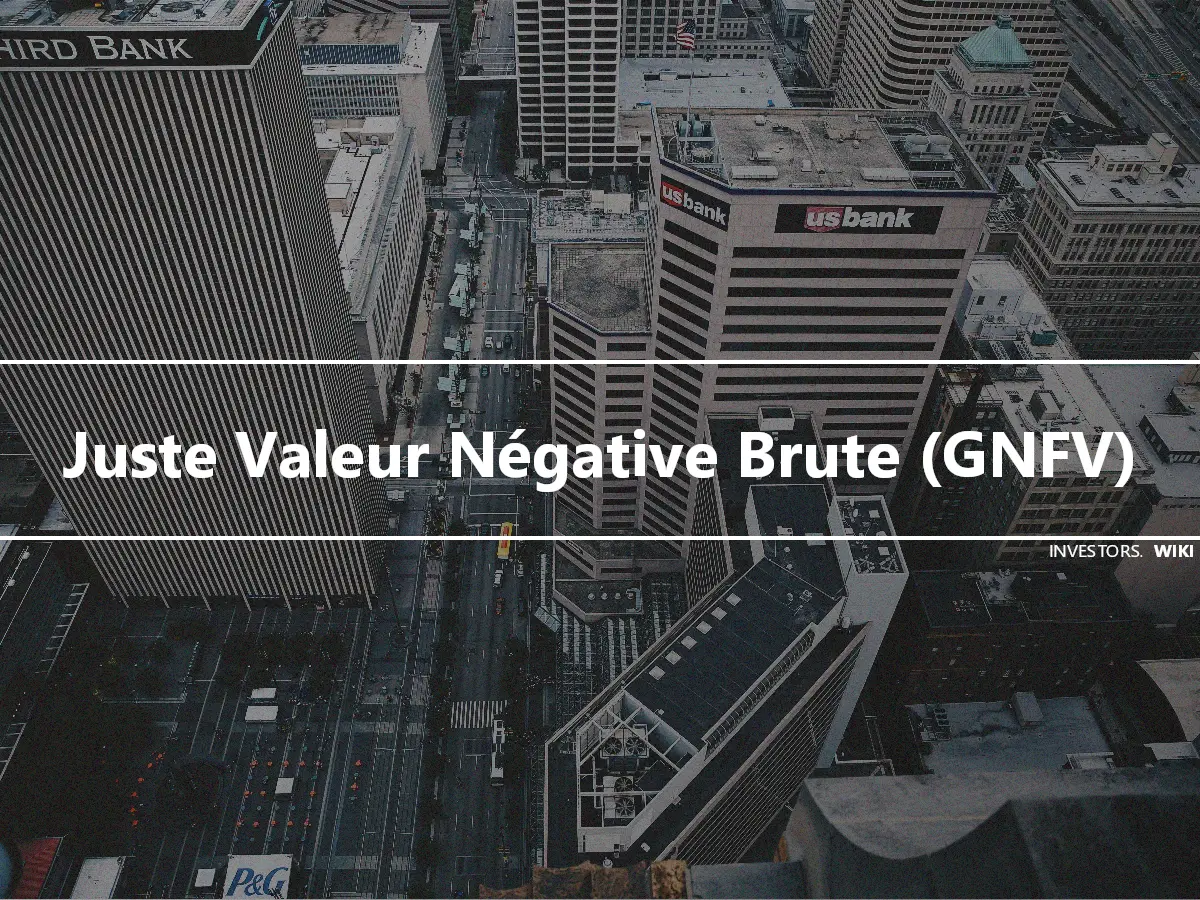 Juste Valeur Négative Brute (GNFV)