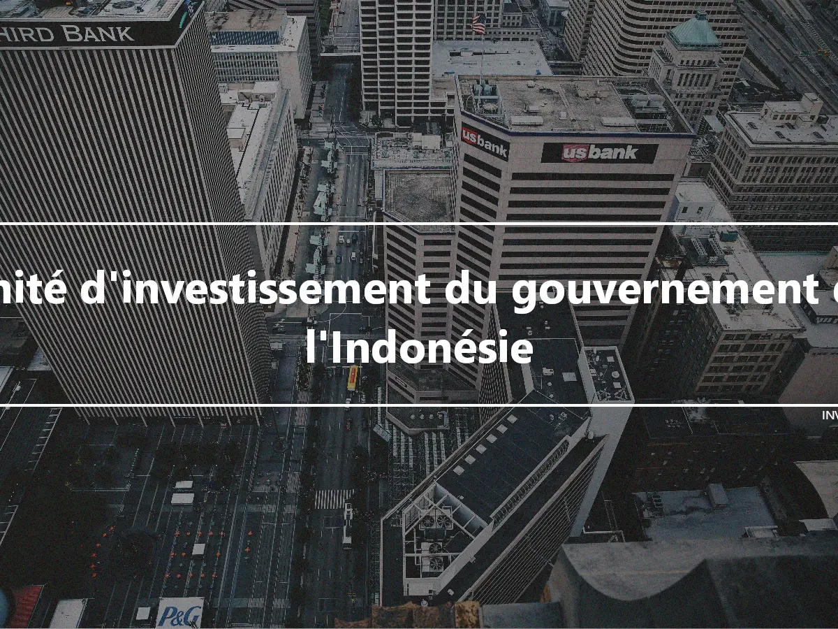 Unité d'investissement du gouvernement de l'Indonésie
