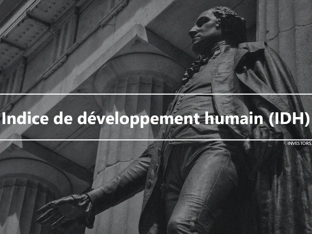 Indice de développement humain (IDH)