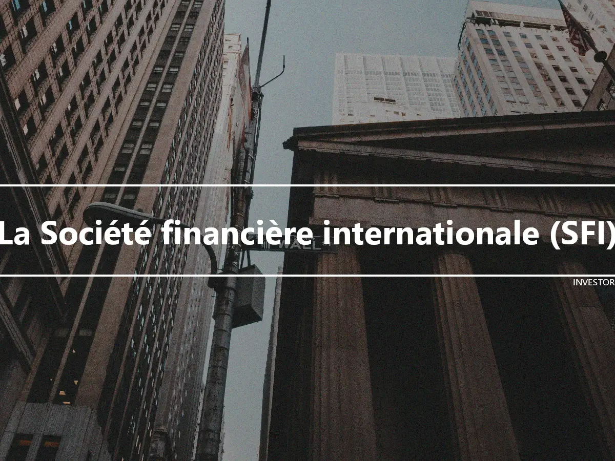La Société financière internationale (SFI)