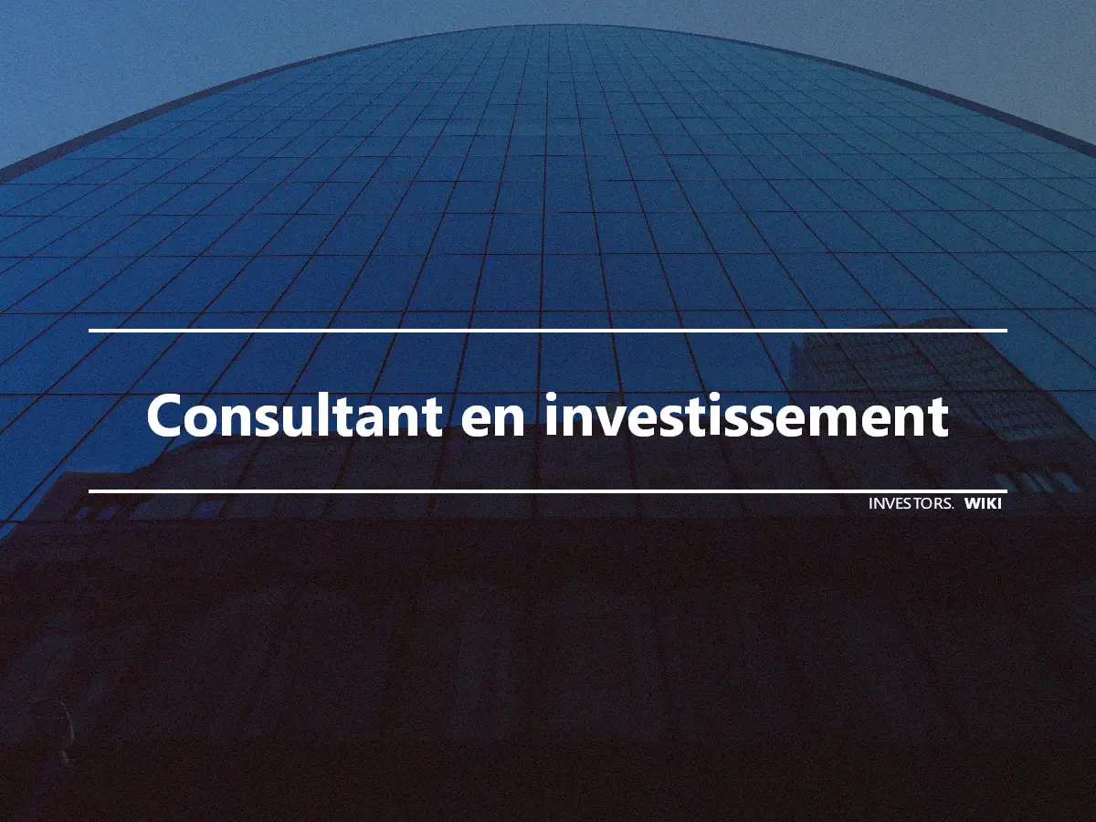 Consultant en investissement