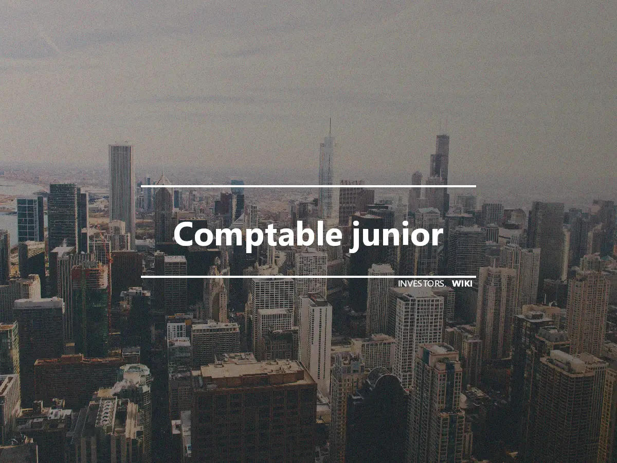 Comptable junior