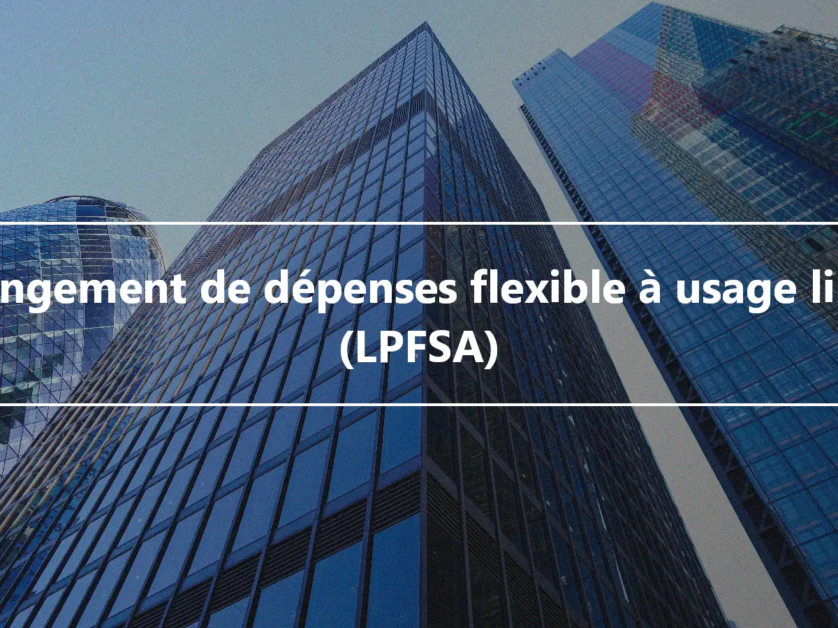 Arrangement de dépenses flexible à usage limité (LPFSA)