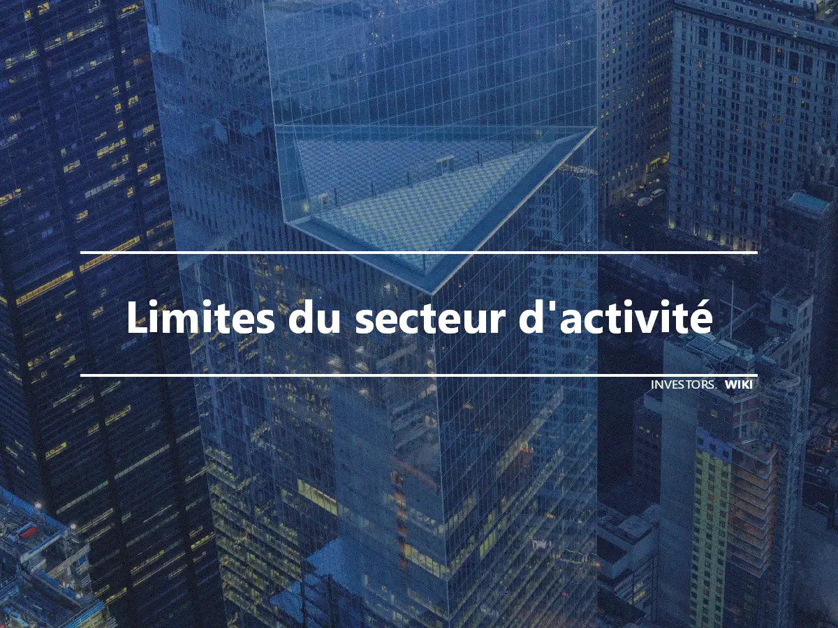 Limites du secteur d'activité