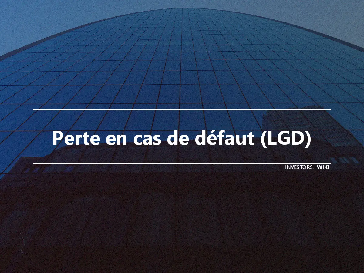 Perte en cas de défaut (LGD)