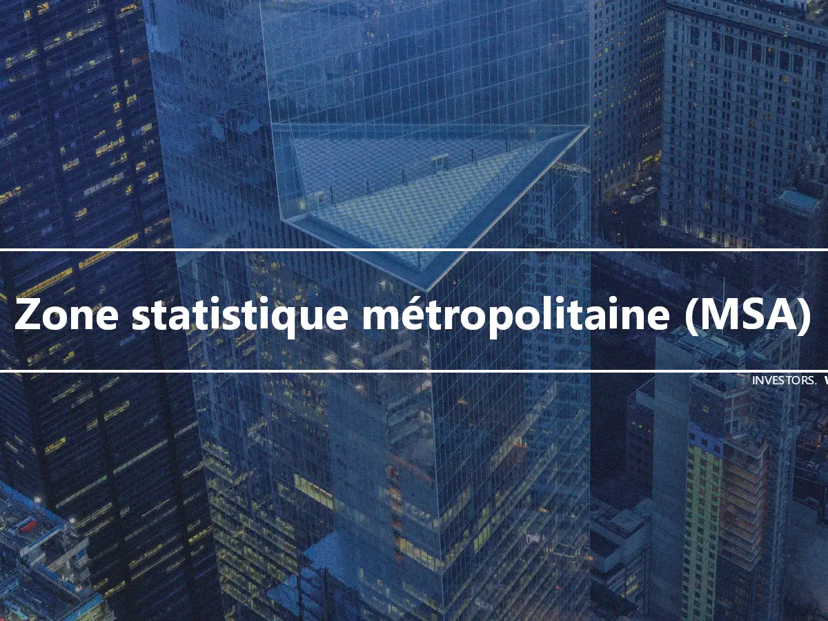 Zone statistique métropolitaine (MSA)