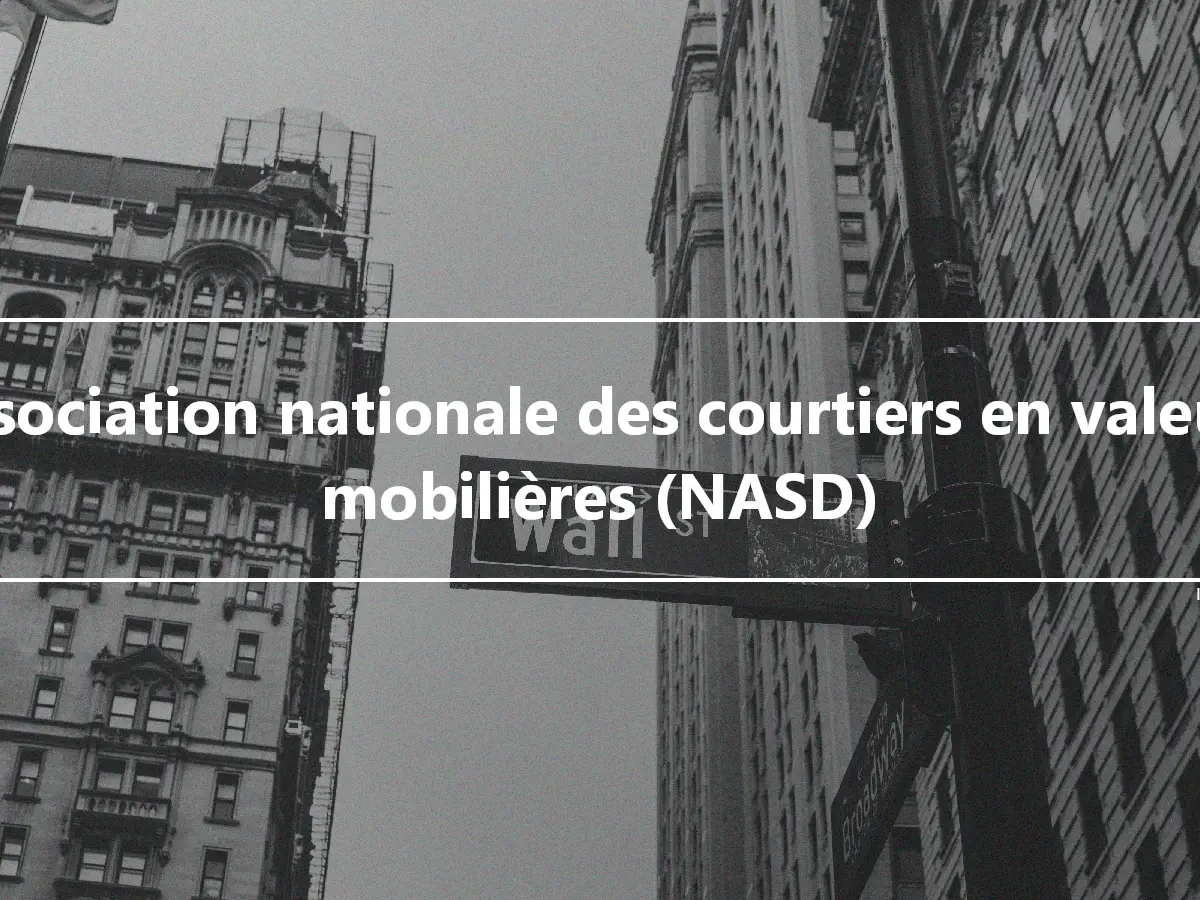 Association nationale des courtiers en valeurs mobilières (NASD)