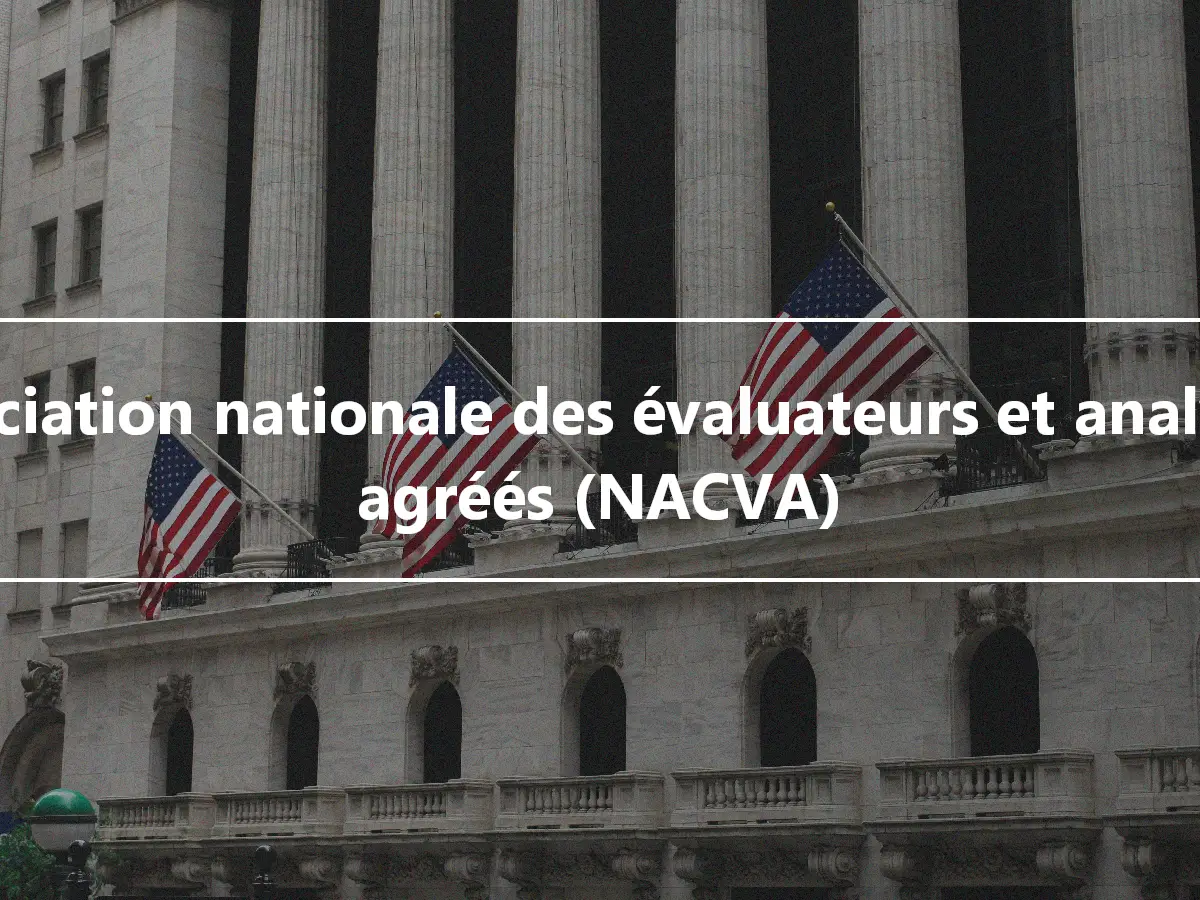 Association nationale des évaluateurs et analystes agréés (NACVA)