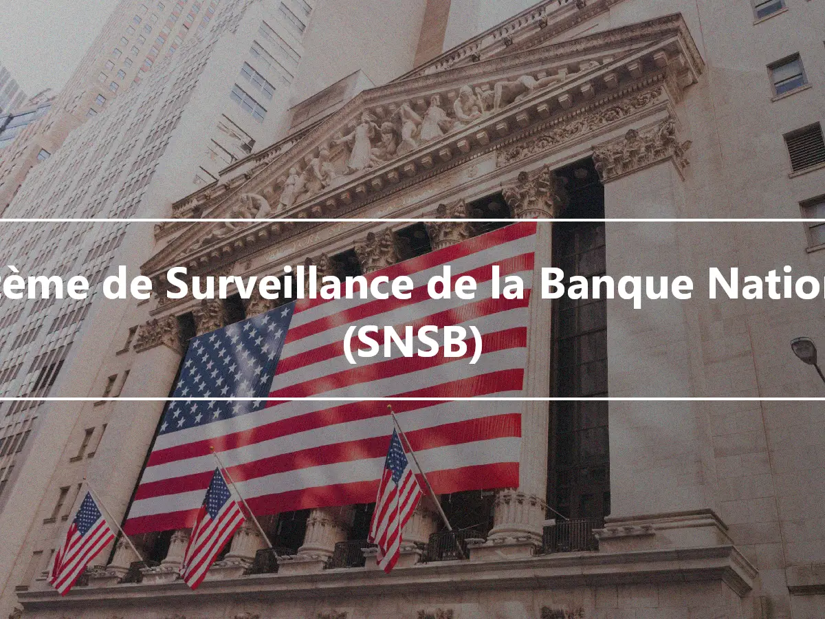 Système de Surveillance de la Banque Nationale (SNSB)