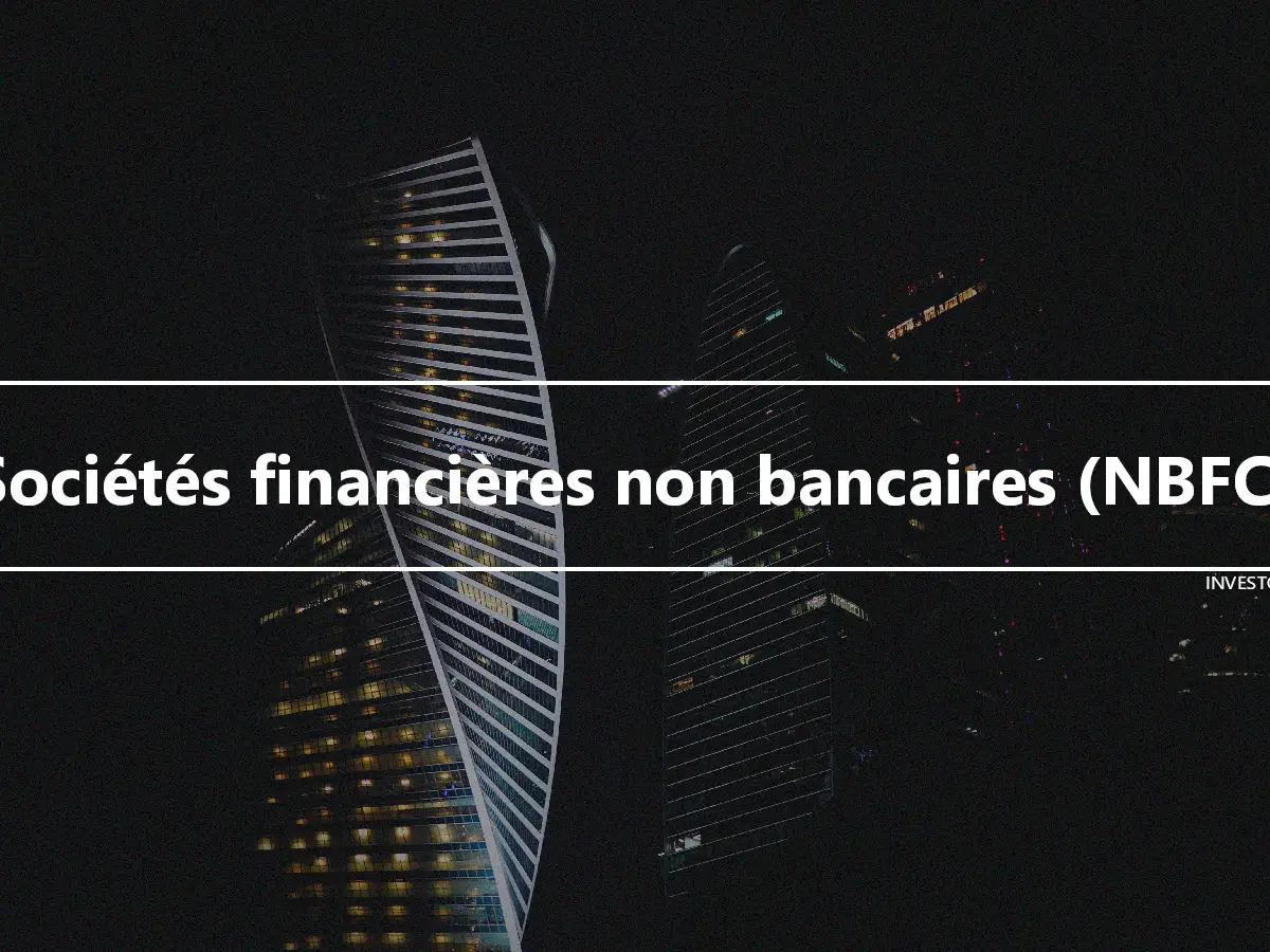 Sociétés financières non bancaires (NBFC)