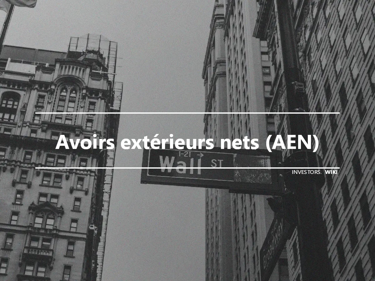 Avoirs extérieurs nets (AEN)