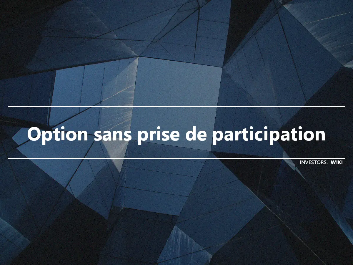 Option sans prise de participation