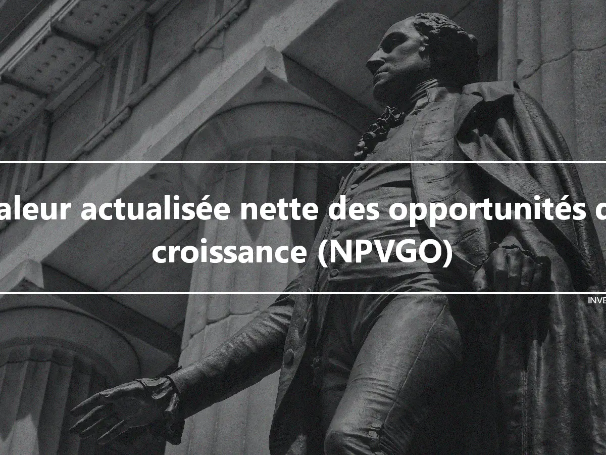 Valeur actualisée nette des opportunités de croissance (NPVGO)