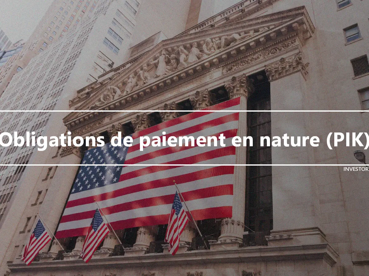 Obligations de paiement en nature (PIK)