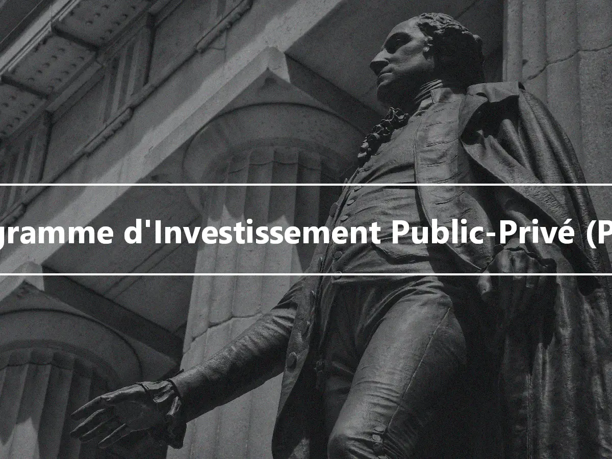 Programme d'Investissement Public-Privé (PPIP)