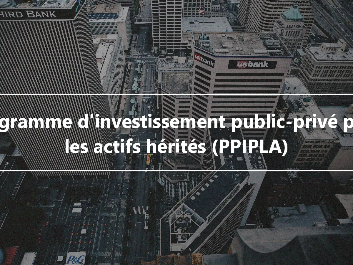 Programme d'investissement public-privé pour les actifs hérités (PPIPLA)