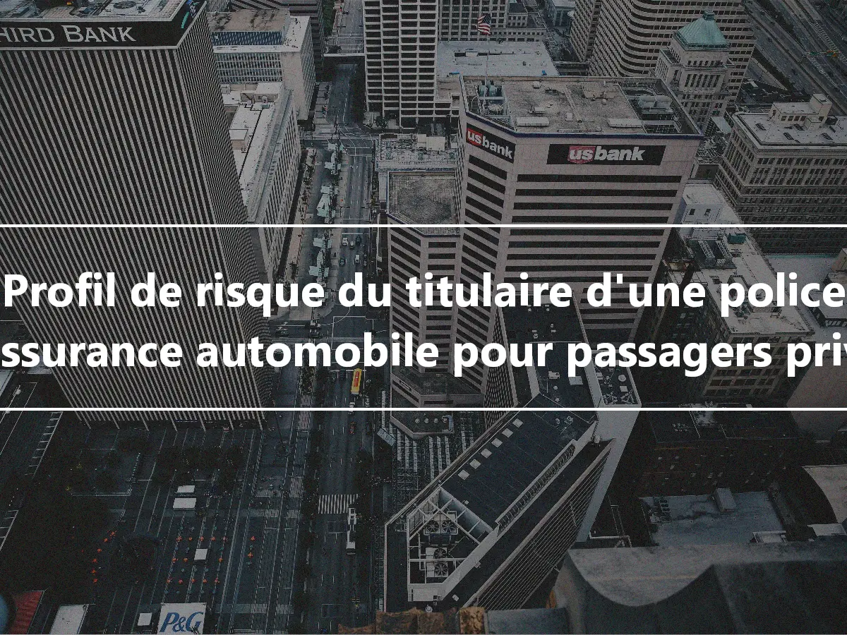 Profil de risque du titulaire d'une police d'assurance automobile pour passagers privés