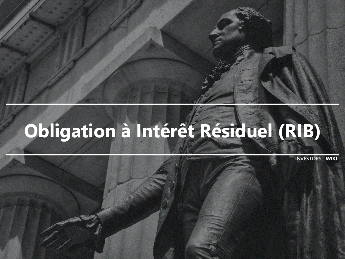 Obligation à Intérêt Résiduel (RIB)