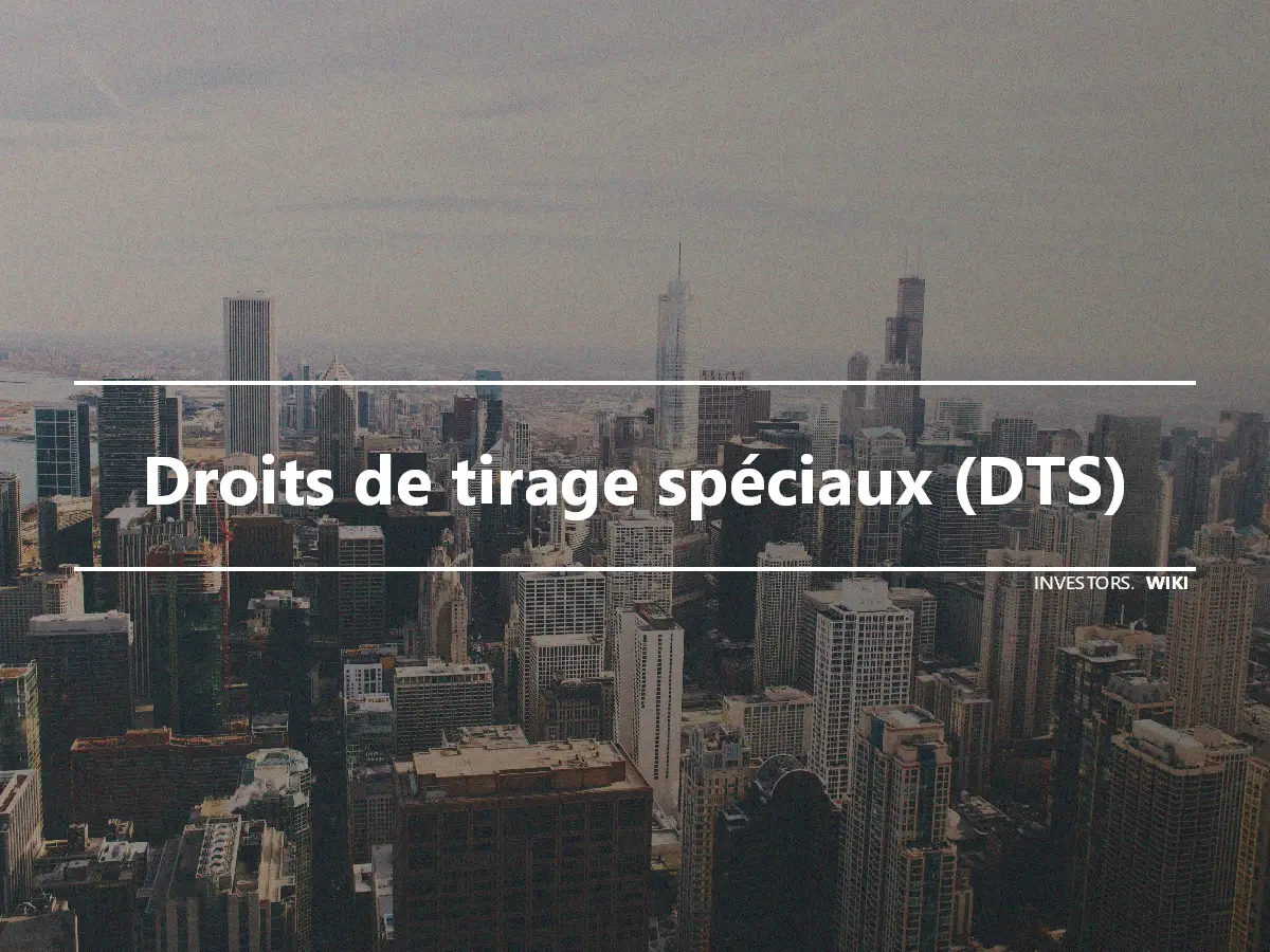 Droits de tirage spéciaux (DTS)