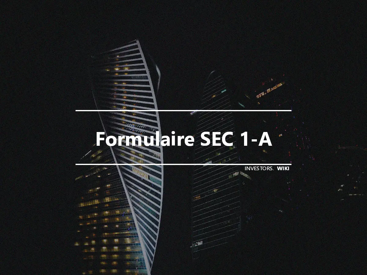 Formulaire SEC 1-A