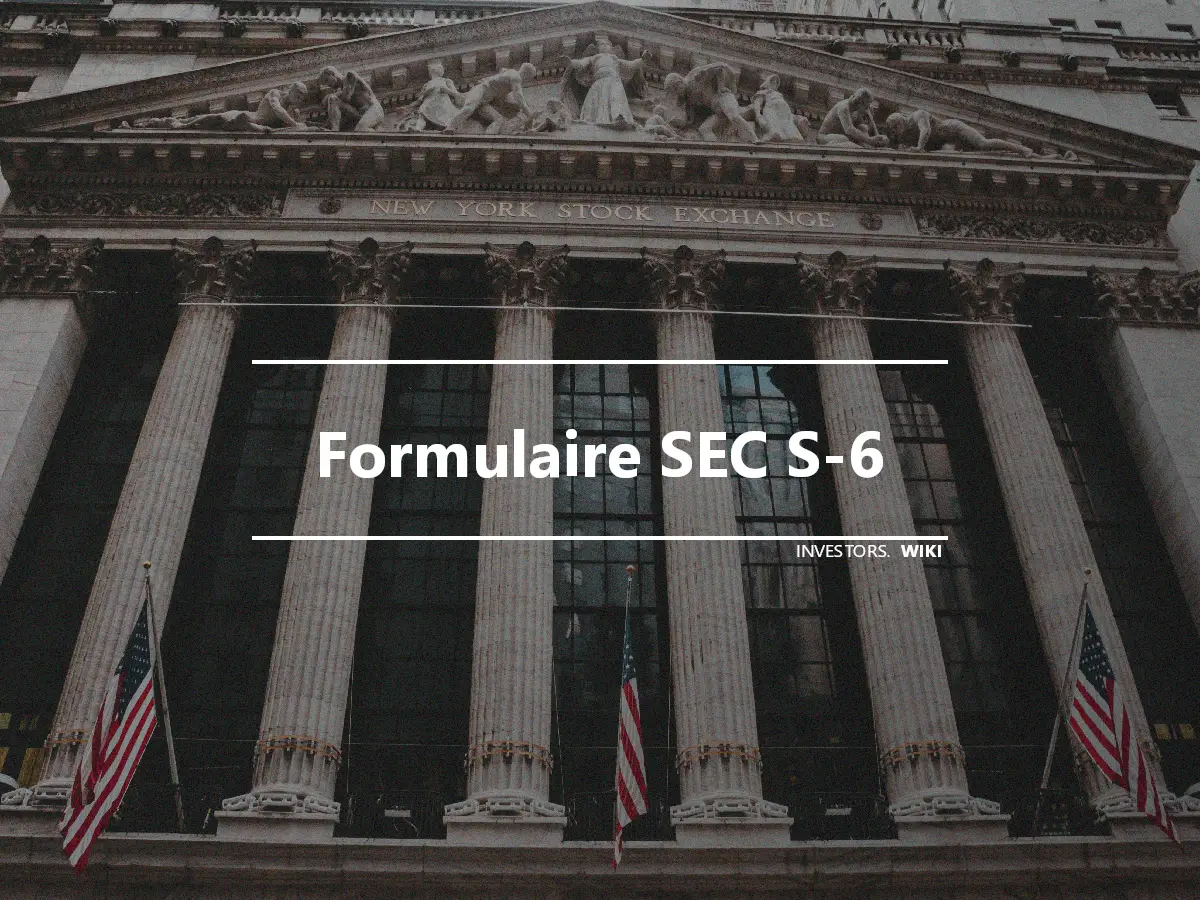 Formulaire SEC S-6