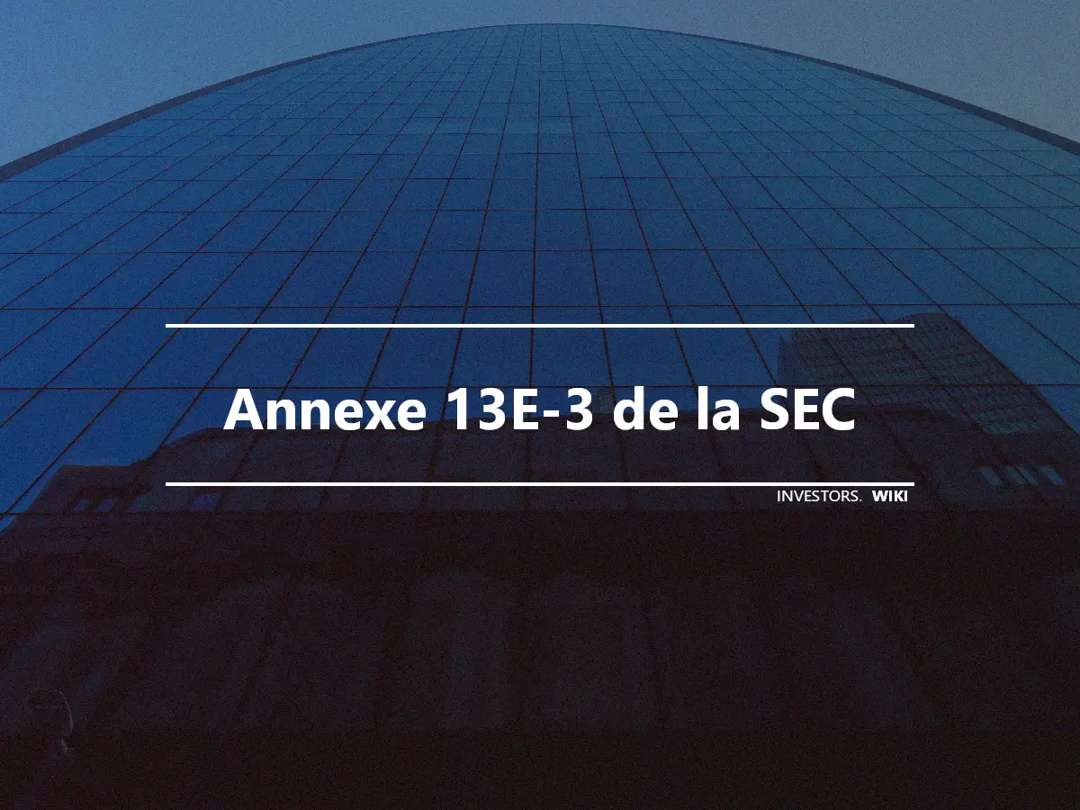 Annexe 13E-3 de la SEC