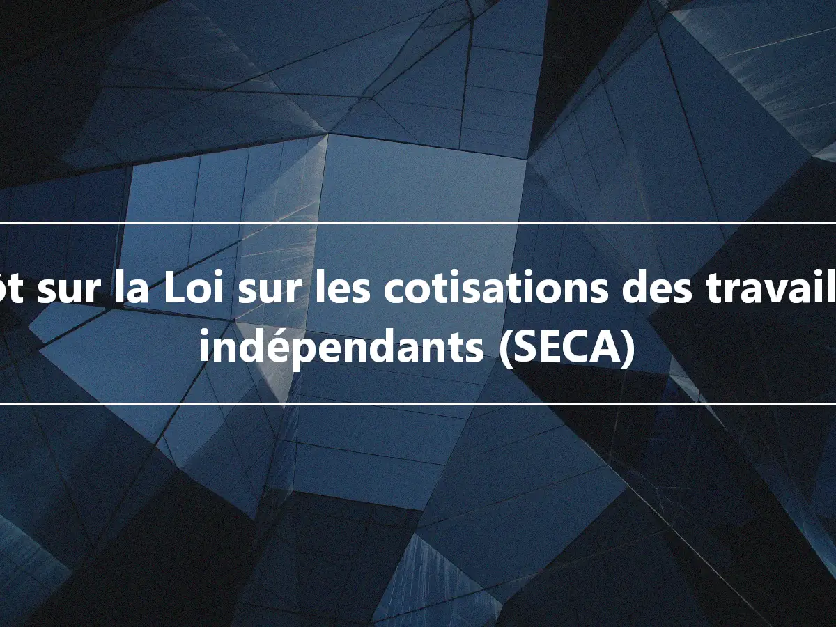 Impôt sur la Loi sur les cotisations des travailleurs indépendants (SECA)