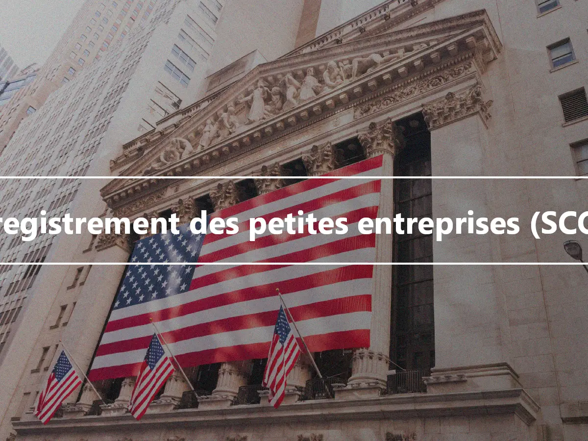 Enregistrement des petites entreprises (SCOR)