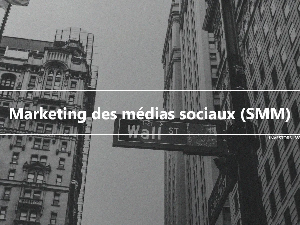 Marketing des médias sociaux (SMM)