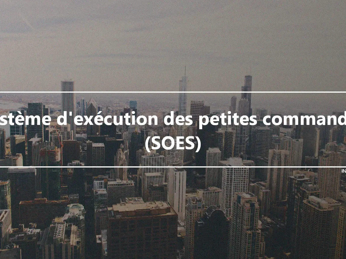 Système d'exécution des petites commandes (SOES)