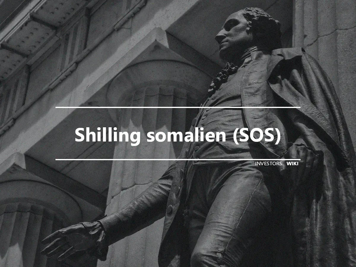Shilling somalien (SOS)