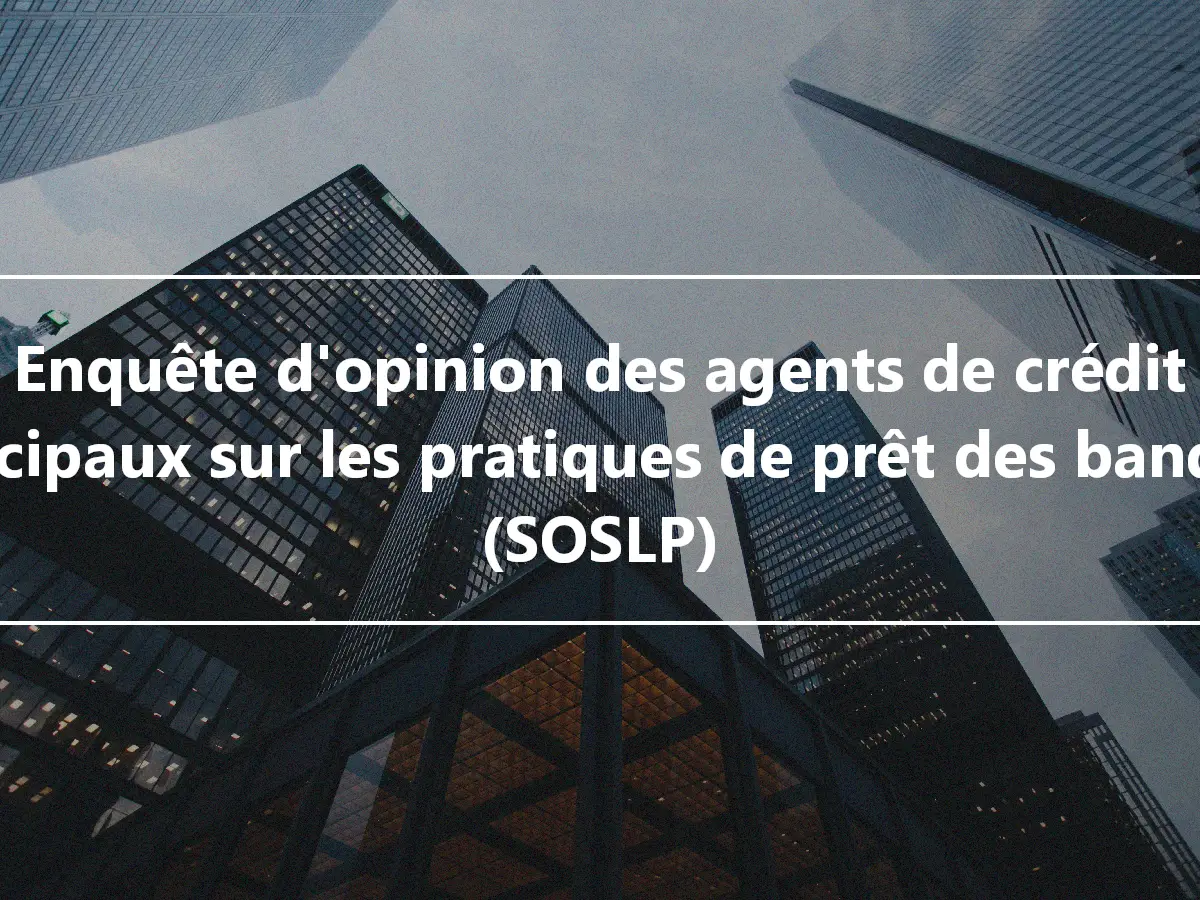 Enquête d'opinion des agents de crédit principaux sur les pratiques de prêt des banques (SOSLP)