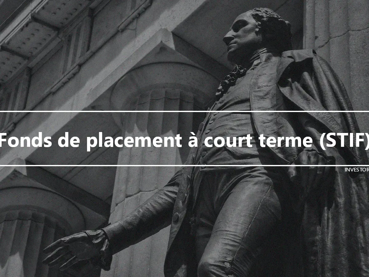 Fonds de placement à court terme (STIF)