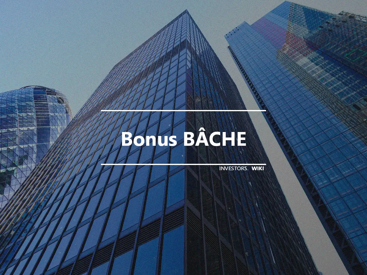 Bonus BÂCHE