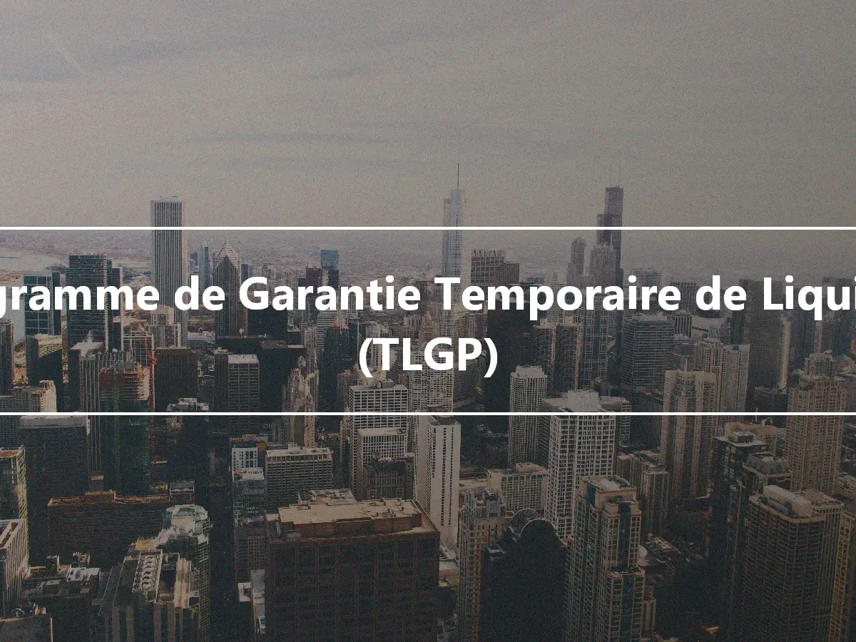 Programme de Garantie Temporaire de Liquidité (TLGP)