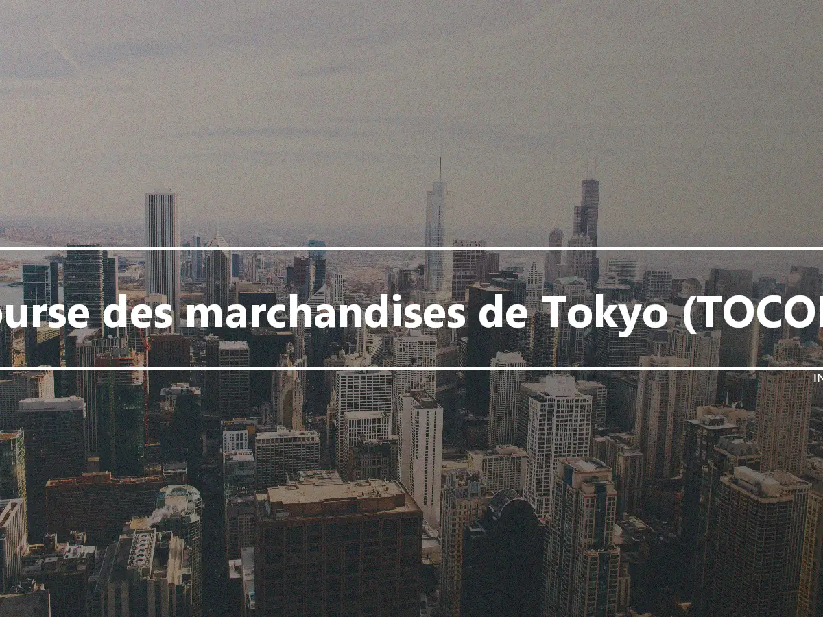 Bourse des marchandises de Tokyo (TOCOM)