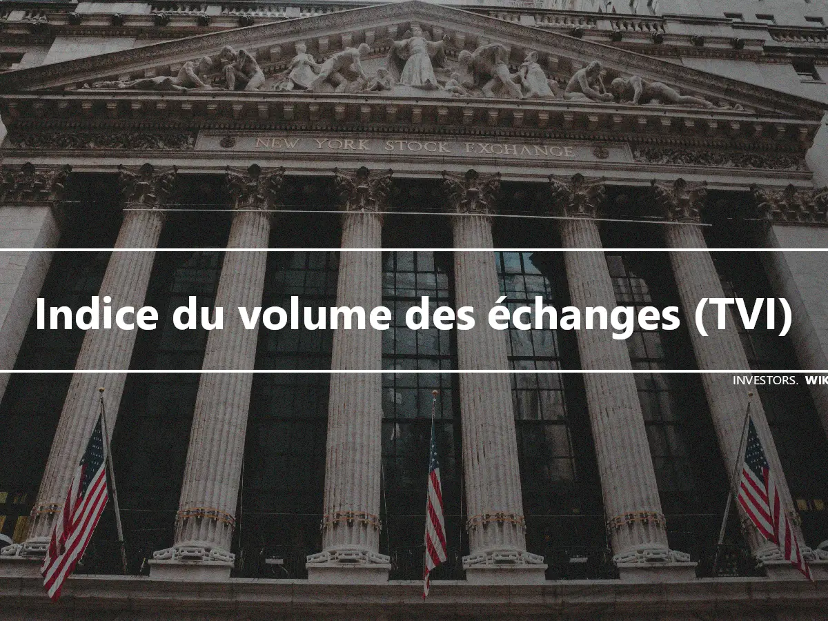 Indice du volume des échanges (TVI)