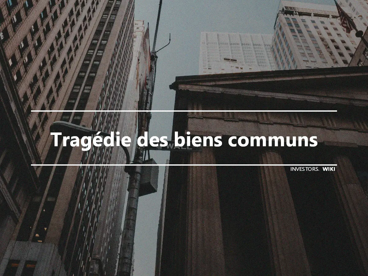 Tragédie des biens communs